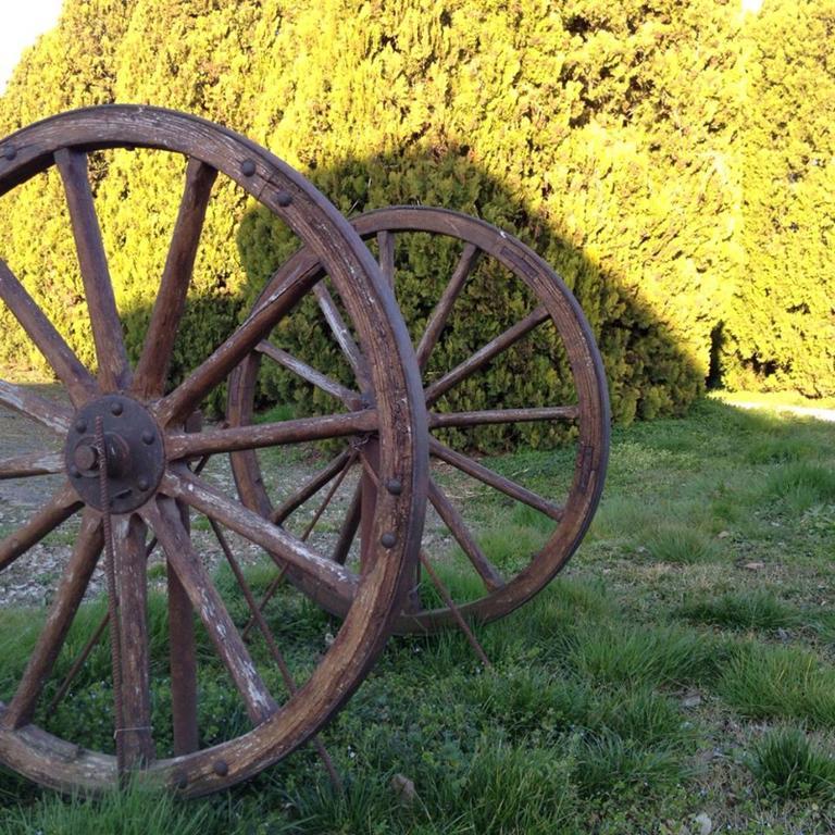 Agriturismo Albero Del Latte Villa Bagnolo San Vito Eksteriør billede